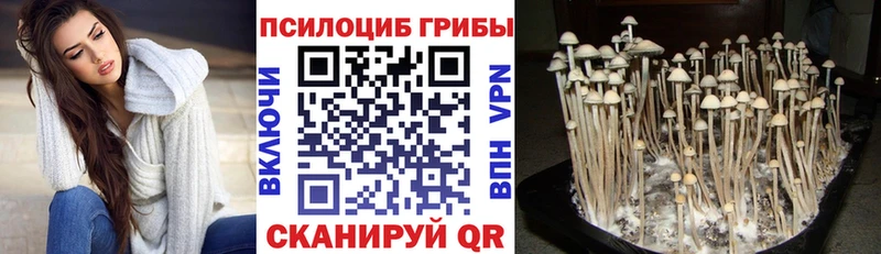 Галлюциногенные грибы GOLDEN TEACHER  где можно купить наркотик  Билибино 